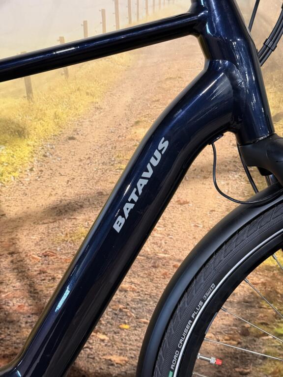 Batavus Finez image 4