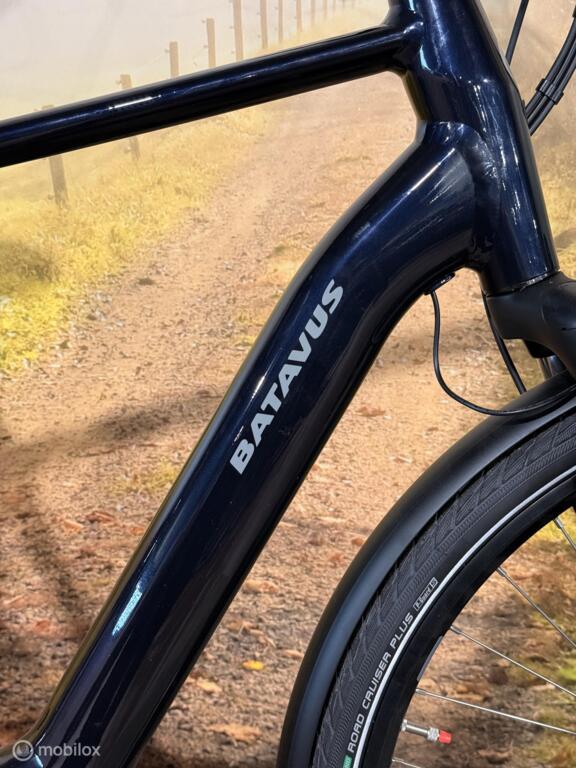 Batavus Finez image 4