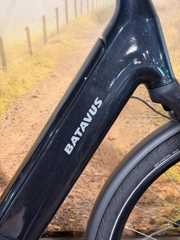 Batavus Finez image 4