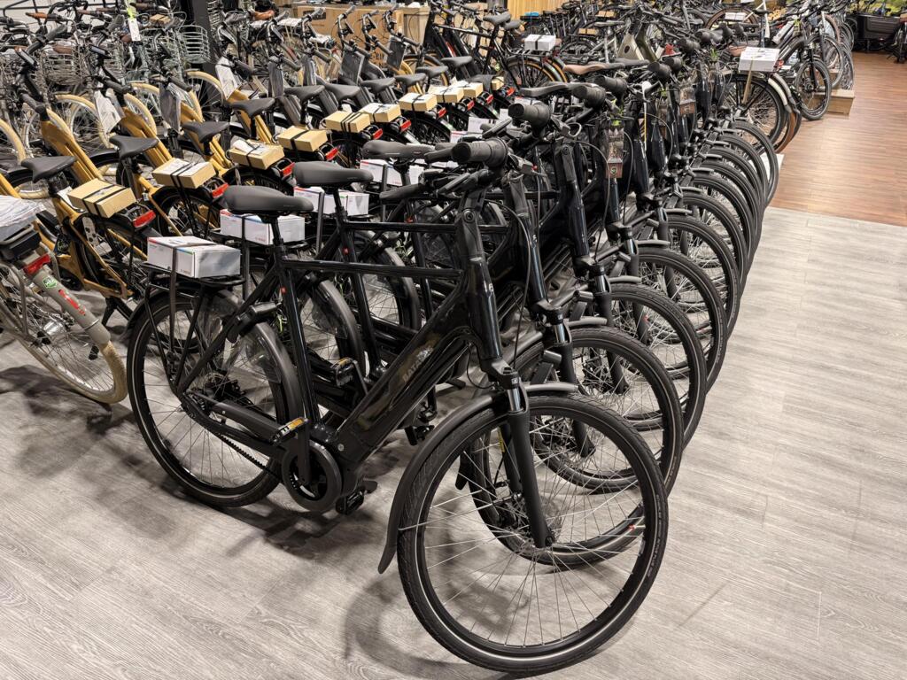 Batavus Finez image 4