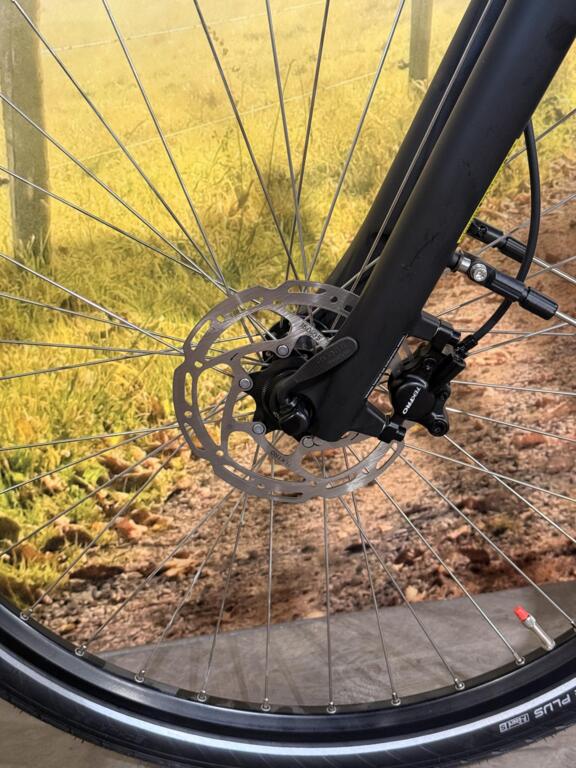 Batavus Finez image 6