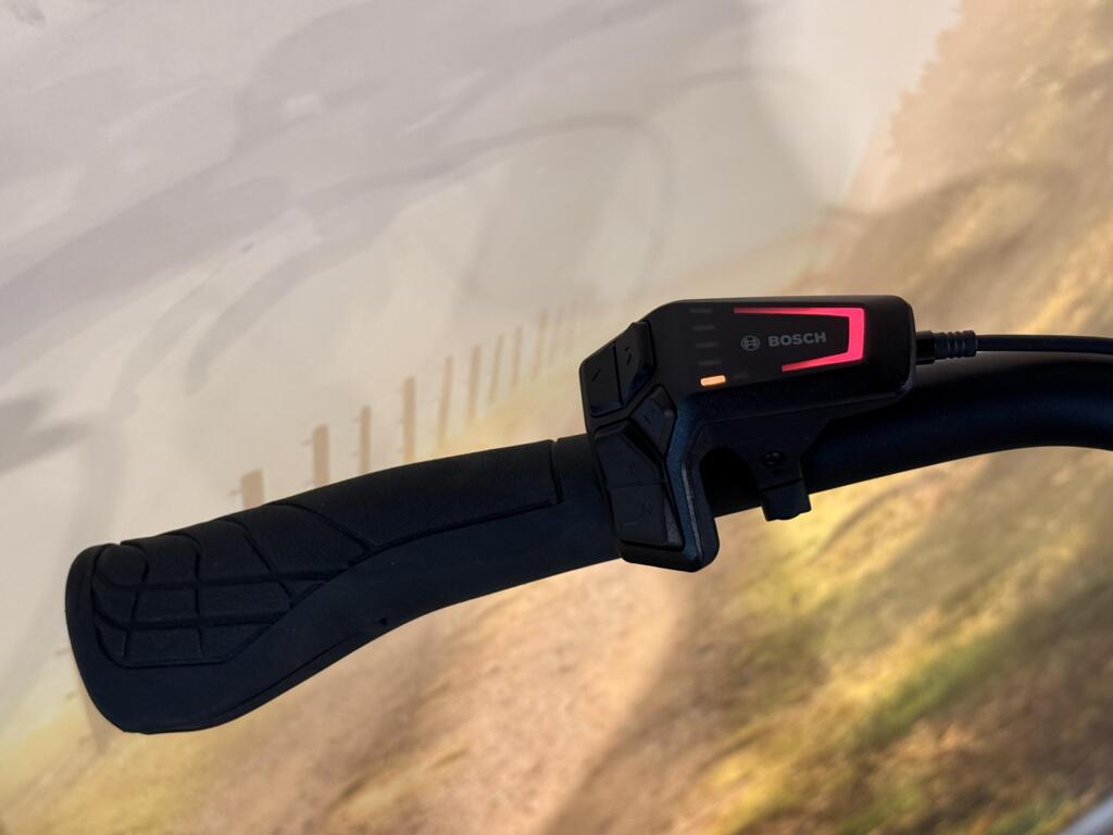 Batavus Finez image 6
