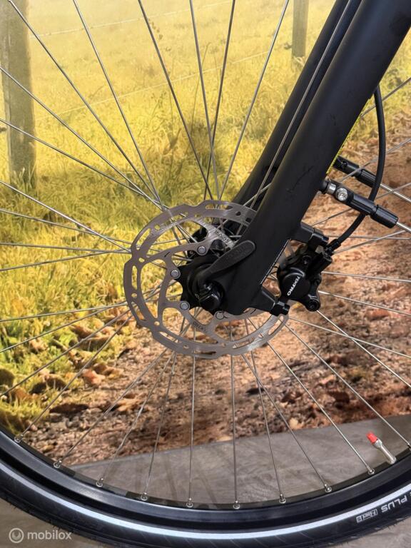 Batavus Finez image 7