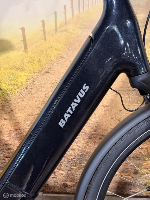 Batavus Finez image 7
