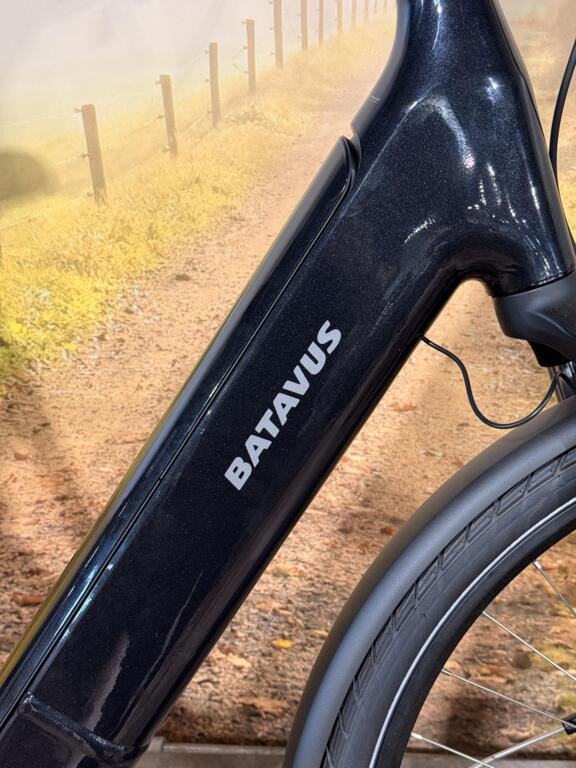 Batavus Finez image 7