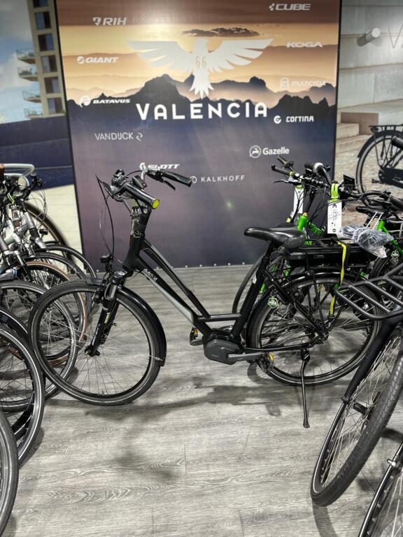 BATAVUS, GAZELLE, VAN DIJCK, KOGA image 11