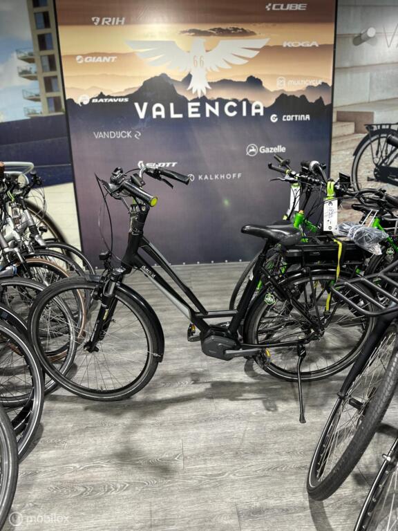 BATAVUS, GAZELLE, VAN DIJCK, KOGA image 12
