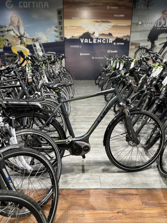 BATAVUS, GAZELLE, VAN DIJCK, KOGA image 12