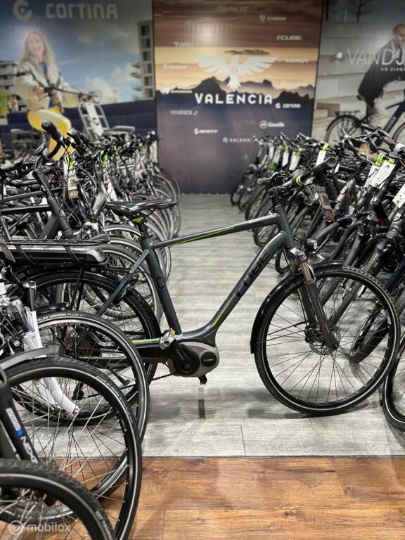 BATAVUS, GAZELLE, VAN DIJCK, KOGA image 13