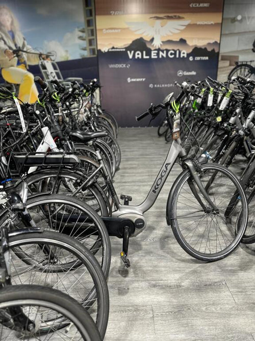 BATAVUS, GAZELLE, VAN DIJCK, KOGA image 1