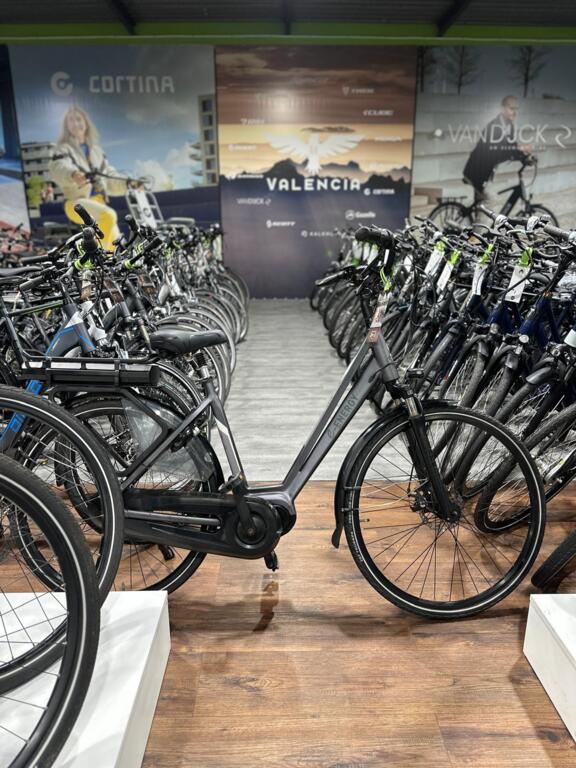 BATAVUS, GAZELLE, VAN DIJCK, KOGA image 2