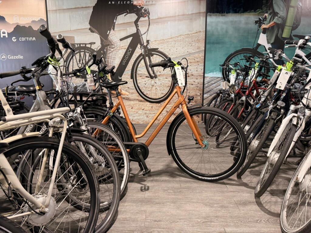 BATAVUS, GAZELLE, VAN DIJCK, KOGA image 3