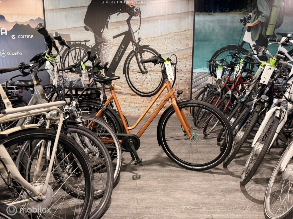 BATAVUS, GAZELLE, VAN DIJCK, KOGA image 4