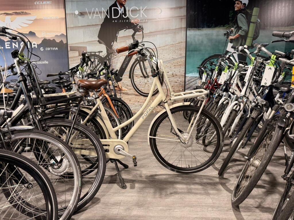 BATAVUS, GAZELLE, VAN DIJCK, KOGA image 4
