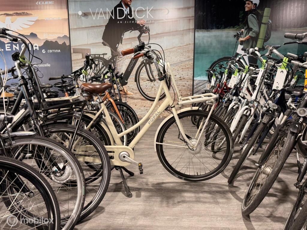 BATAVUS, GAZELLE, VAN DIJCK, KOGA image 5