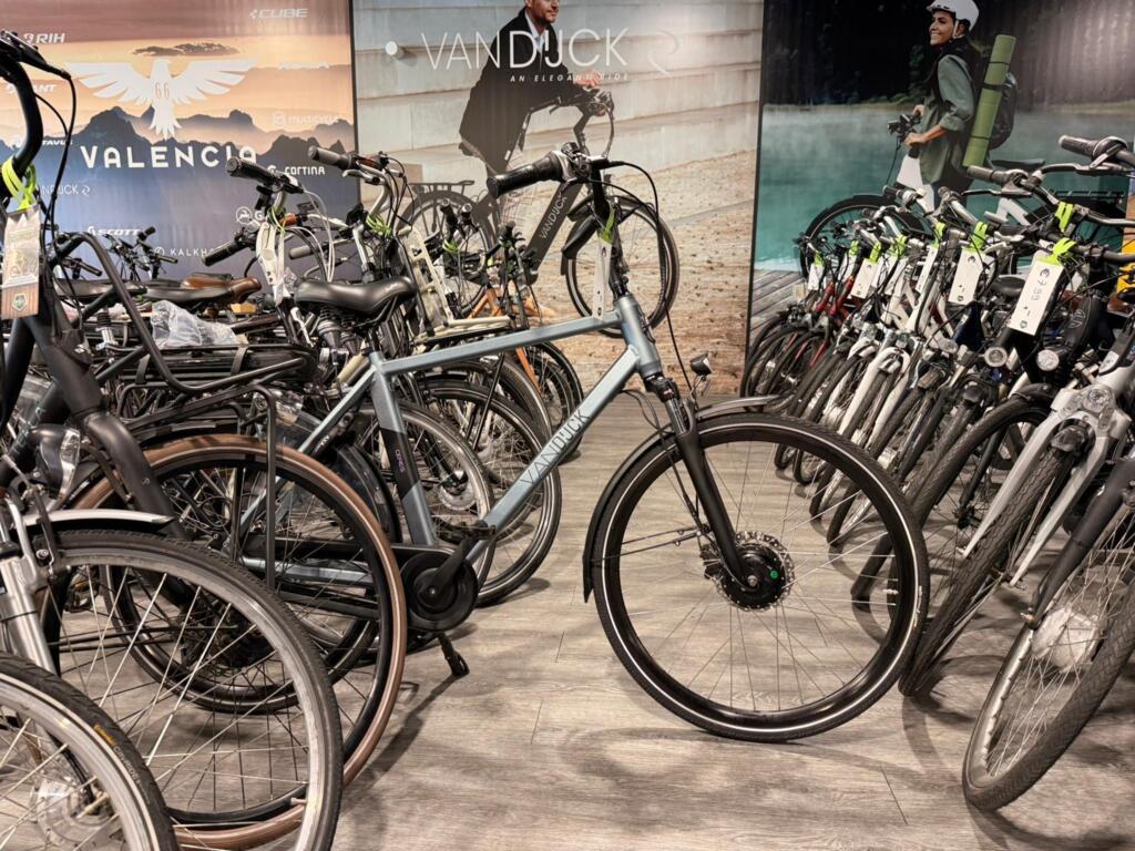 BATAVUS, GAZELLE, VAN DIJCK, KOGA image 6