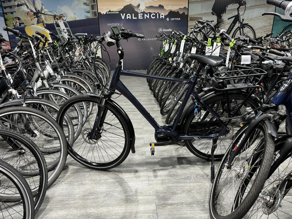 BATAVUS, GAZELLE, VAN DIJCK, KOGA image 9