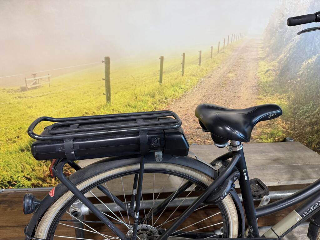 Batavus Pick Up image 4