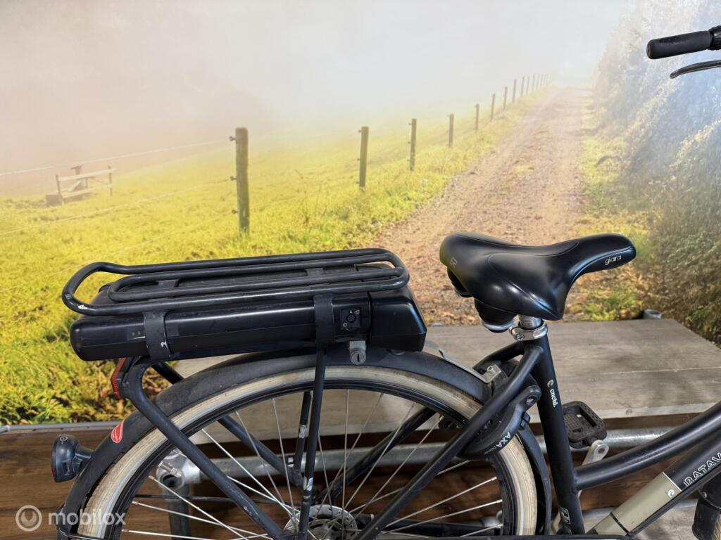 Batavus Pick Up image 5