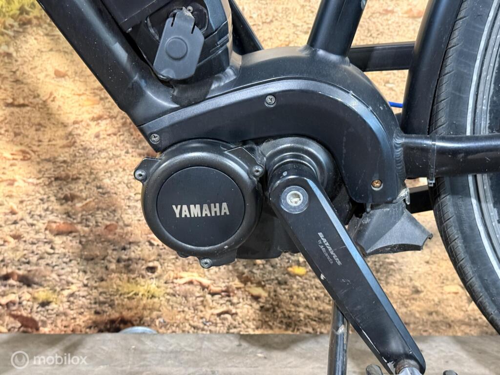 Batavus Razer image 10
