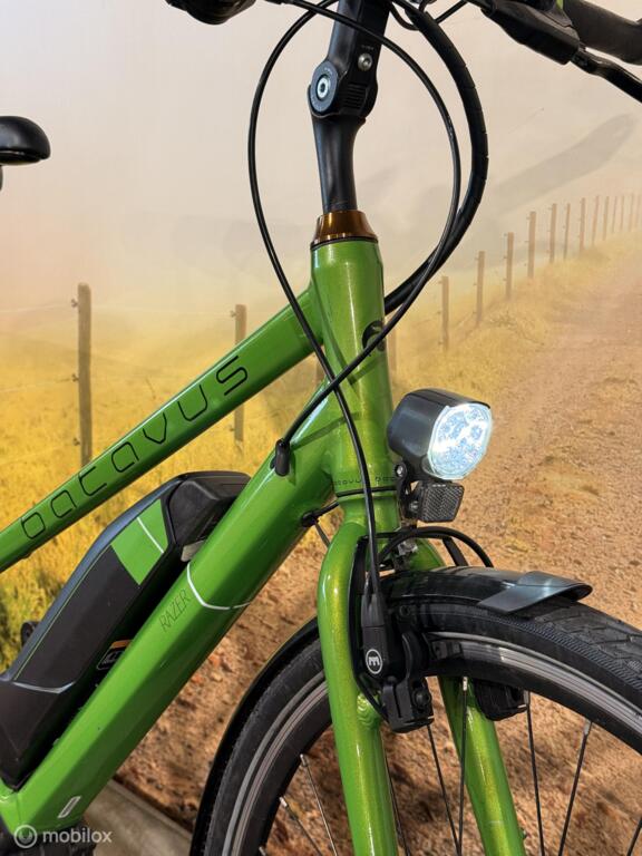 Batavus Razer image 10