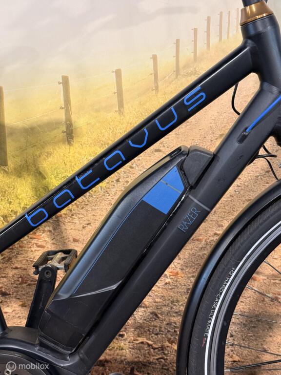 Batavus Razer image 3