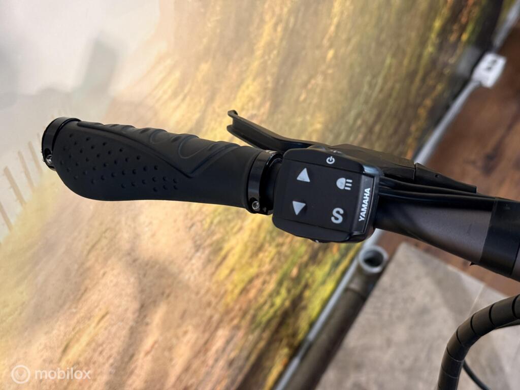 Batavus Razer image 4