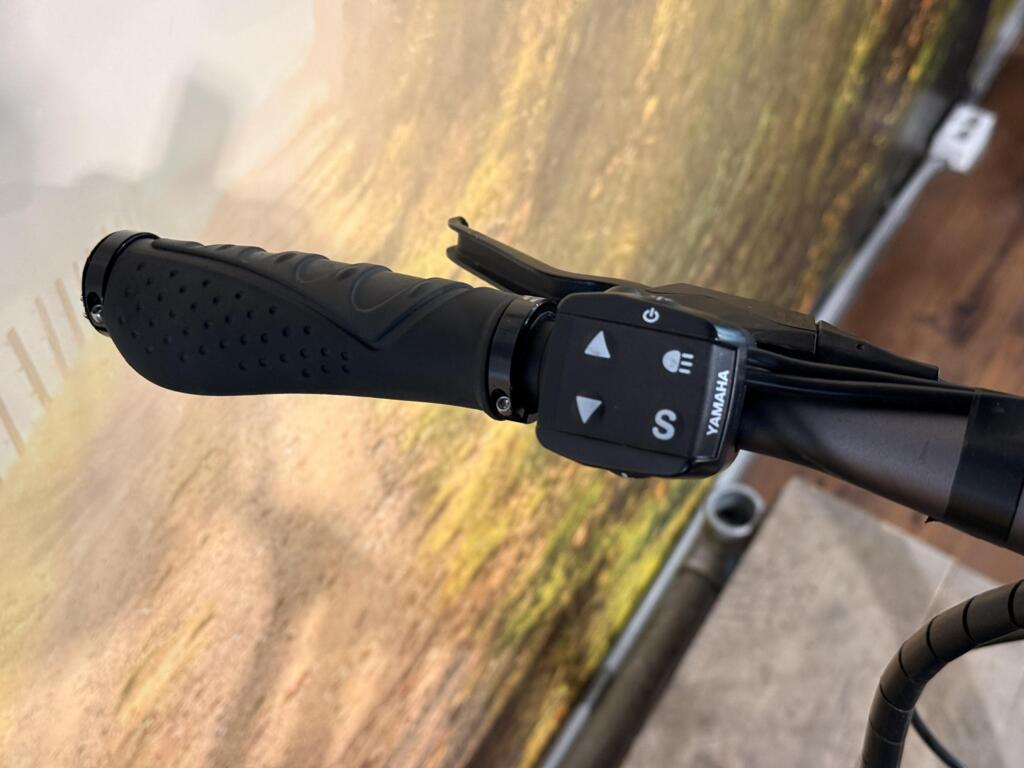 Batavus Razer image 4