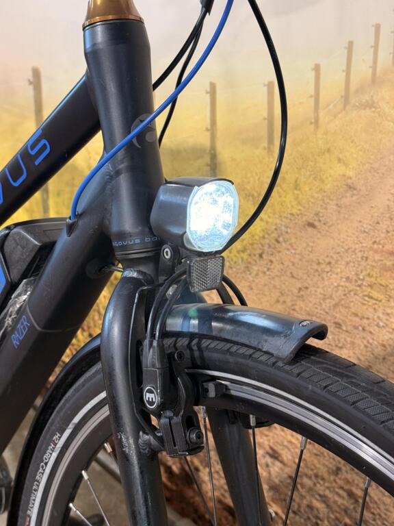 Batavus Razer image 8