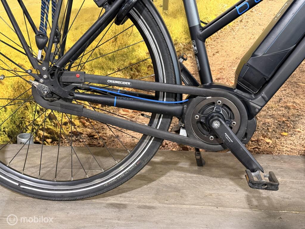 Batavus Razer image 9