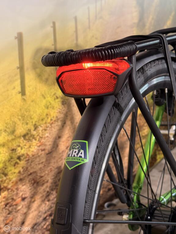 Batavus Razer image 9