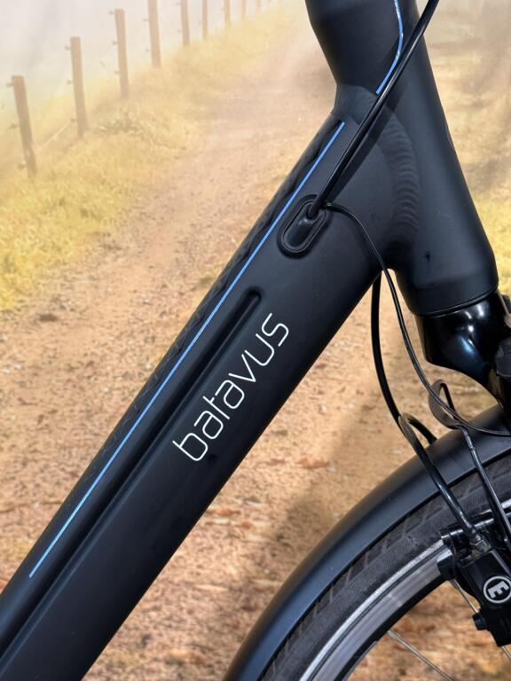 Batavus Ways Ego image 2