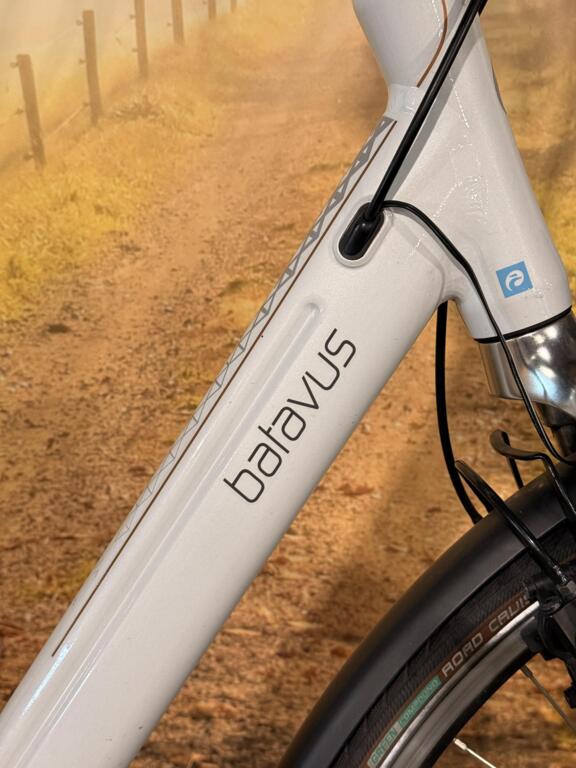 Batavus Wayz Ego image 4