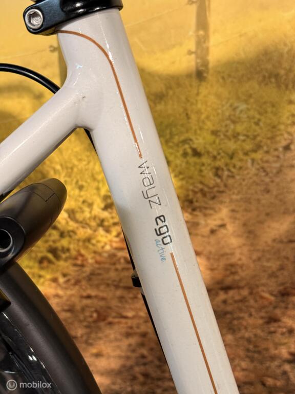 Batavus Wayz Ego image 5