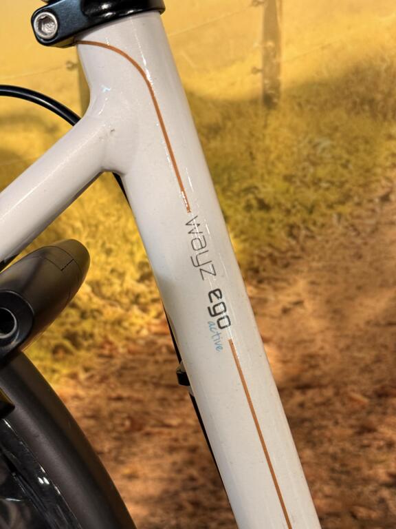 Batavus Wayz Ego image 5