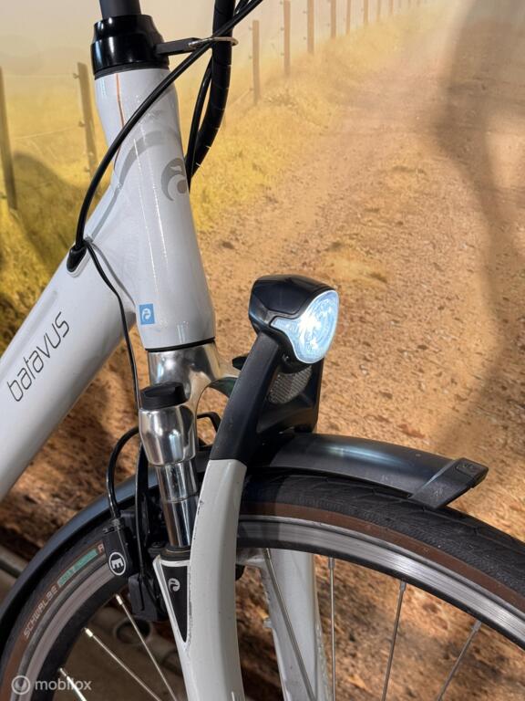 Batavus Wayz Ego image 8