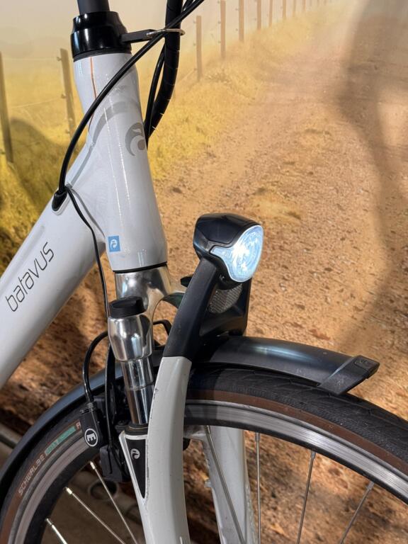Batavus Wayz Ego image 8