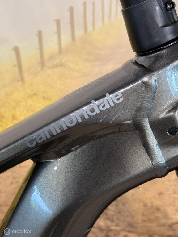 Cannondale Tesoro image 4