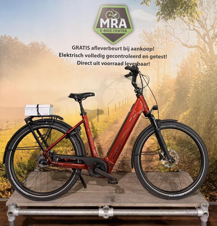 Flyer Gotour 7.43 image 13