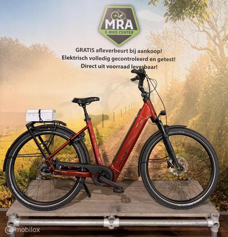 Flyer Gotour 7.43 image 14