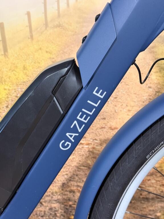 Gazelle Bloom image 4
