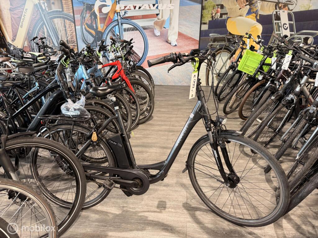 Gazelle C8 image 10