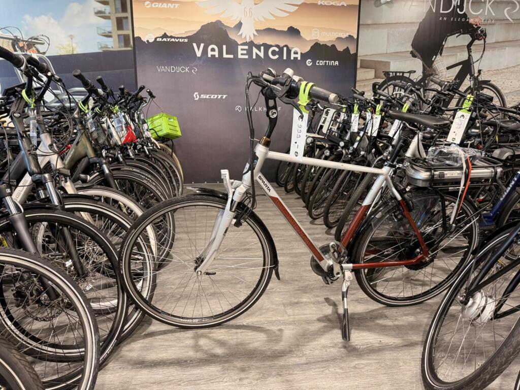 Gazelle C8 image 13
