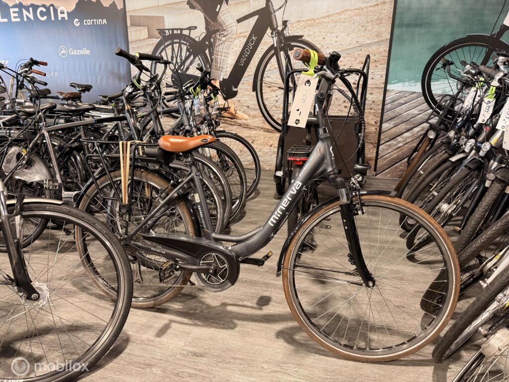 Gazelle C8 image 19