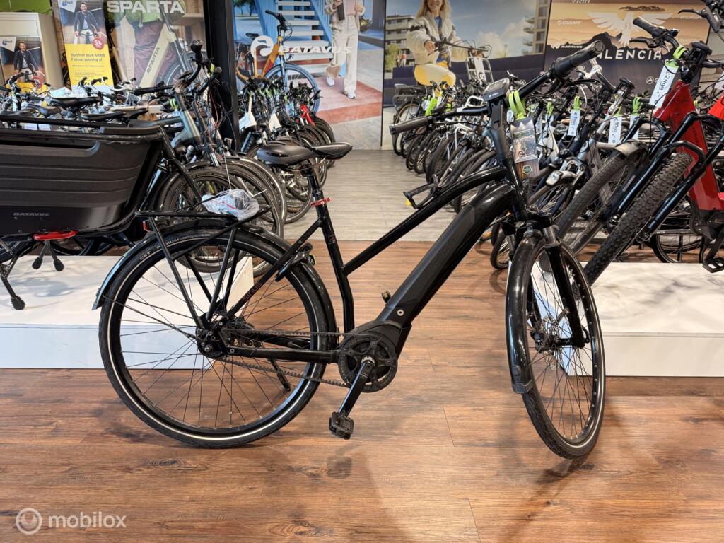 Gazelle C8 image 1