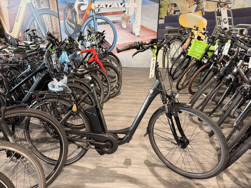 Gazelle C8 image 23