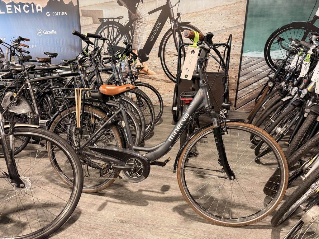 Gazelle C8 image 23