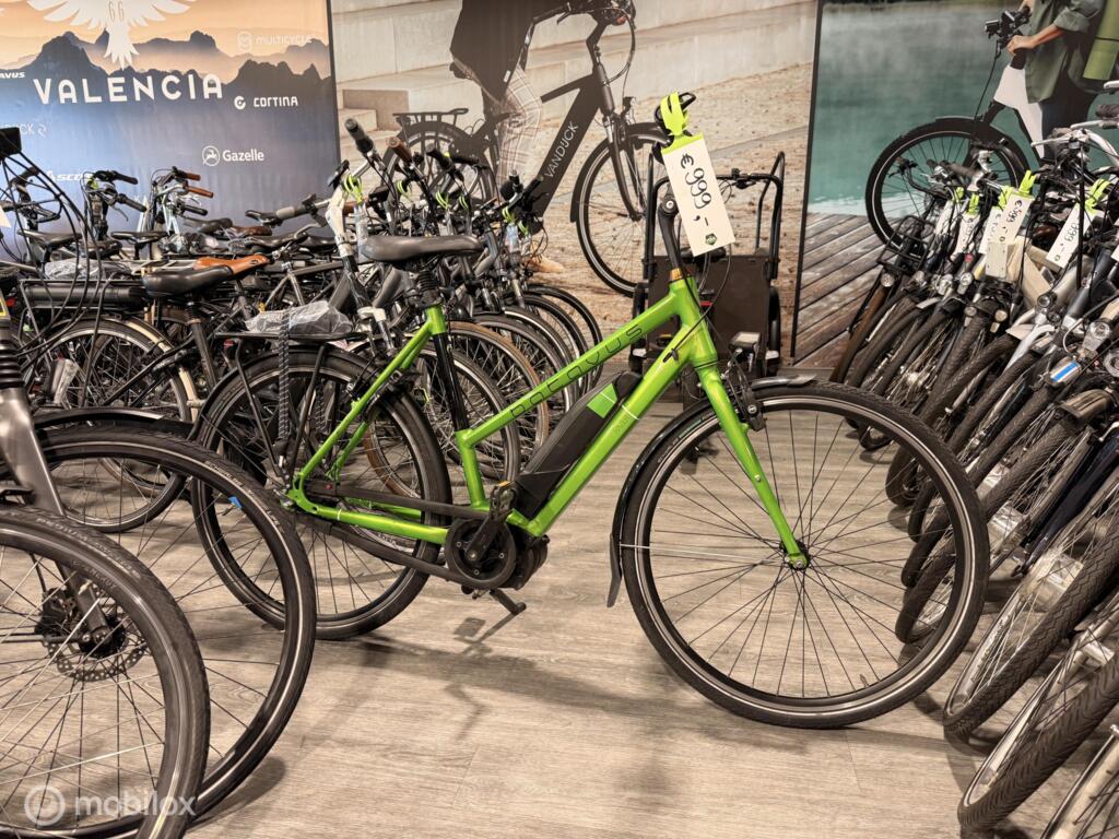 Gazelle C8 image 27