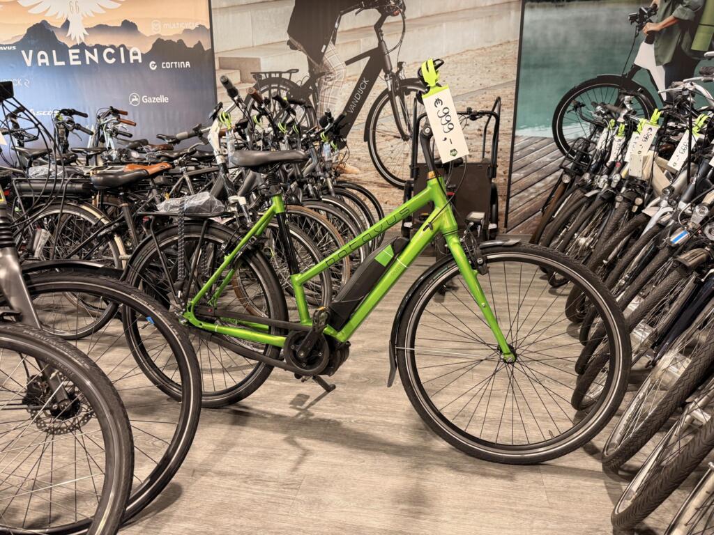 Gazelle C8 image 27