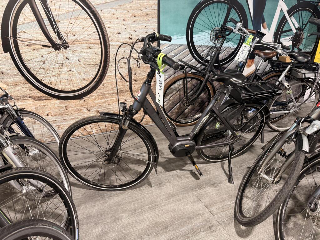 Gazelle C8 image 4